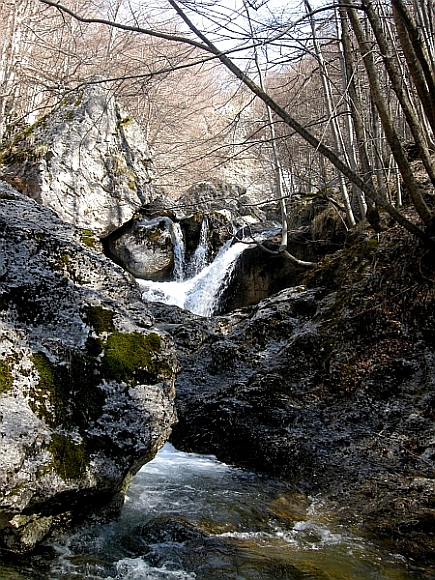 Escursione Parco Nazionale d''Abruzzo